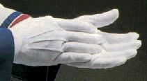 Regular Cotton Gloves